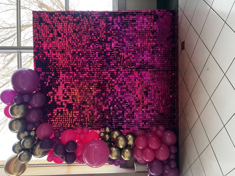 pink-shimmer-backdrop-for-hire